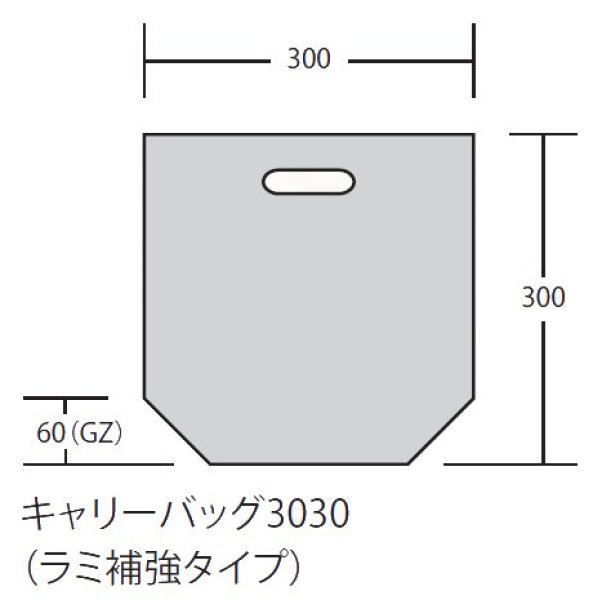 画像1: 生き生きパック キャリーバッグ3030(補強タイプ) (300×300+60mm) ホリックス 1ケース2,000枚入り (1)